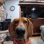 Iris Mcbride - Facebook
