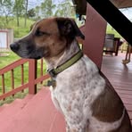 Iris McDonald - Facebook