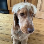 Iris Meades - @irismeades - Instagram