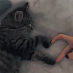 iris - @iris_meadows_warner - Instagram