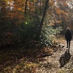 Iris Melchers - @irismelchers - Instagram