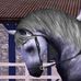 Iris Mena - Freelance Sim Horse Artist - Facebook