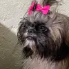 Iris mercedes Echavrria - @iris.mercedes.ech - TikTok