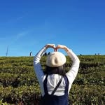 @_iris_michelle_ - Instagram