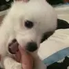 irismichelle23 - @irismichelle23 - TikTok