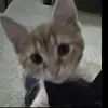 irismichelle37 - @irismichelle37 - TikTok