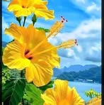 Iris Milian - Facebook