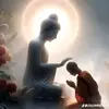 iris mobile - @iris.mobile - TikTok
