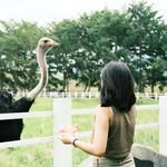 Iris Mok - @suyying.mok - Instagram