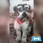 Iris montalvo - @irismontalvo3101 - Instagram