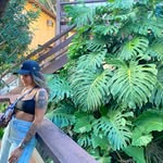 Iris Moreira - @irisvmoreira - Instagram