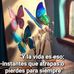 Iris Moreno - Facebook