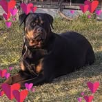 Iris Moser - Facebook