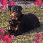 Iris Moser - @iris.moser.161 - Instagram