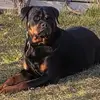 Iris Moser - @iris.moser8 - TikTok