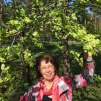 Irisha Moshe - Facebook