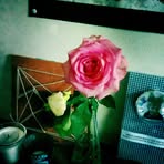 Iris Mouton - Facebook