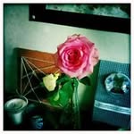 Iris Mouton - @irismo61 - Instagram