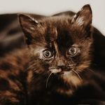 Iris Muriel Lehn - @irismuriaw - Instagram
