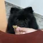 Iris Murray - @cocmurray - Instagram