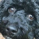 Iris Fischer-Nagel - @fischernagel - Instagram
