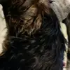 Iris Nagel673 - @irisnagel673 - TikTok