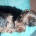 Iris Nagel - Facebook