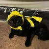 iris.Najera7935 - @iris.najera7935 - TikTok