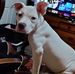 Iris Nichols - Facebook