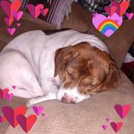 Iris Nichols - @iris.nichols.790 - Instagram