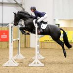 Iris Nicholson - @irie.eventing - Instagram