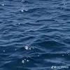 Iris Norman - @iris032112 - TikTok
