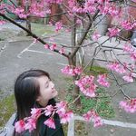 Iris Northwind - @iris_northwind - Instagram