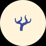 Manna Noto - Ristorante - @ristorante_manna_noto - Instagram