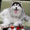 irisobrien27 - @irisobrien27 - TikTok
