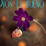 Iris Ocasio - @idaliairis9151 - Instagram