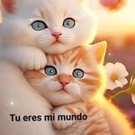 Iris Orellana - @irisorellana57 - Instagram
