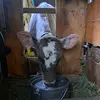 Iris Ott - @iris_ott_07 - TikTok