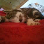 Iris Ott - @animalcool07 - Instagram