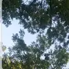 Iris Padilla - @iris.padilla.moli - TikTok