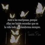 Iris Paz - @iris.paz.549 - Instagram