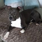 Peck Iris - @peck_iris - Instagram