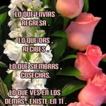 Iris peraza - @peraza2156 - Instagram