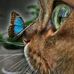 Iris Pfeiffer - Facebook