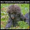 Iris Pfeiffer - @iris.pfeiffer54 - TikTok