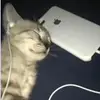 ~•Iris•~ - @iris._pierce - TikTok