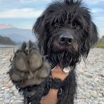 Iris Pike - @flowerfish101 - Instagram