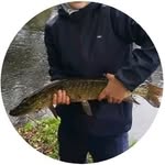 ronaldo snikeris - @irish.pike.and.perch - Instagram