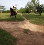 Iris Pinto - Facebook