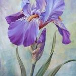 Iris Poetry - @poet.iris - Instagram